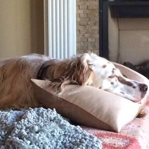 Meet your Posher, Martha